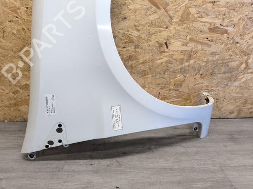 Right front fenders RENAULT CLIO III (BR0/1, CR0/1) 1.5 dCi (C/BR0G, C/BR1G) | BP21748309C42 