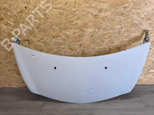 Used Hood RENAULT CLIO III (BR0/1, CR0/1) 1.5 dCi (C/BR0G, C/BR1G) (68 hp) 21737393