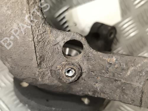 Left front steering knuckle PEUGEOT 206+ (2L_, 2M_) 1.1 | BP24941095M25