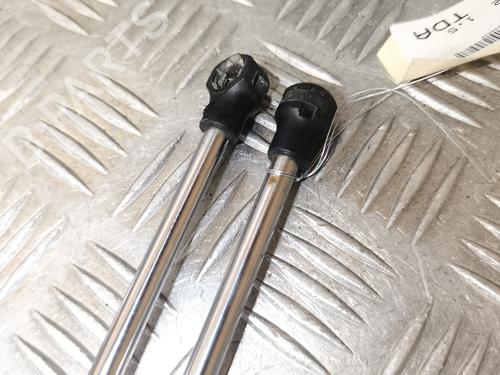 Gasdæmper bagklap RENAULT CLIO II (BB_, CB_) 1.5 dCi (B/CB07) | BP29759212C138