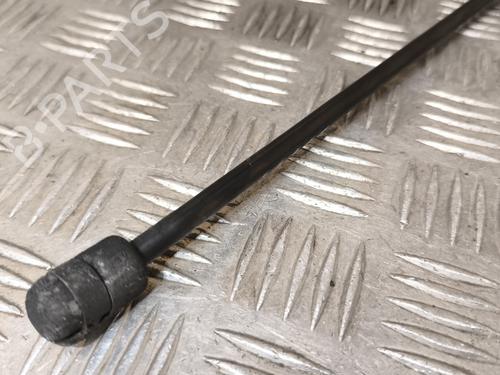Hood lift support VW GOLF VI (5K1) 2.0 TDI | BP24956801C139