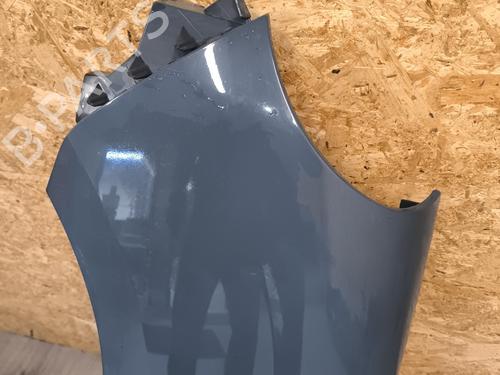 Left front fenders RENAULT KANGOO Express (FW0/1_) 1.5 dCi 85 (FW0K, FW0L, FW0B) | BP22439546C41 