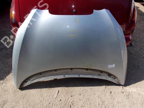 Used Hood SEAT TOLEDO III (5P2) 1.9 TDI (105 hp) 21736548