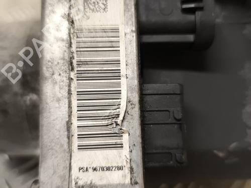 Steering pump PEUGEOT 407 SW (6E_, 6D_) 2.0 HDi 135 | BP21741643M99 