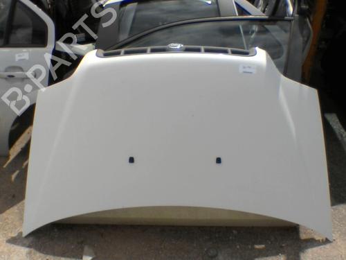 Used Hood FIAT DOBLO Box Body/MPV (223_) 1.9 JTD (223ZXE1A) (100 hp) 21731918