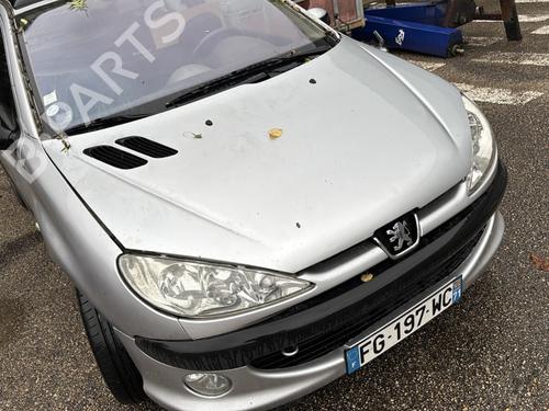 Dør høyre foran PEUGEOT 206 Hatchback (2A/C) 1.6 16V | BP30683504C3