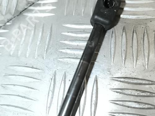 Hood lift support RENAULT MEGANE III Hatchback (BZ0/1_, B3_) 1.5 dCi | BP22015477C139 