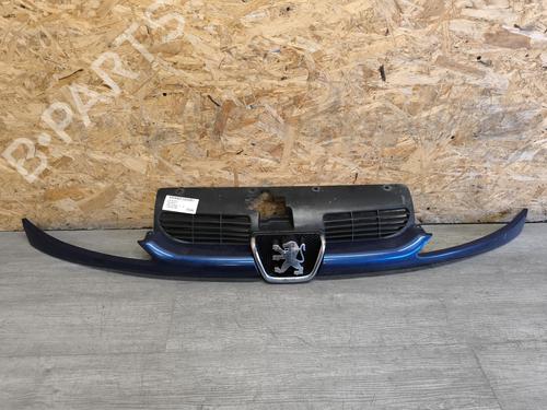 Used Grille PEUGEOT 206 Hatchback (2A/C) 2.0 HDI 90 (90 hp) 28175121
