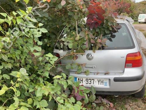 Lamp holder VW GOLF IV (1J1) 1.6 16V | BP21745951L10 