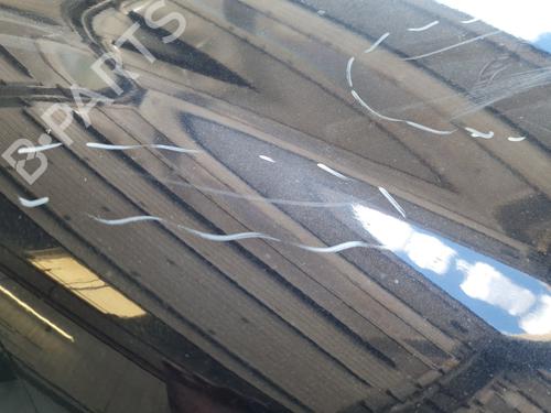 Hood FORD FIESTA VI (CB1, CCN) 1.6 TDCi | BP29120352C1 