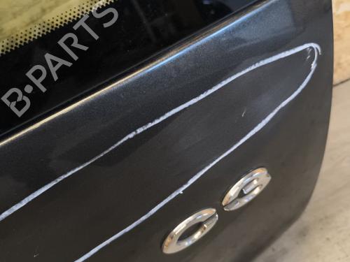 Tailgate CITROËN C3 I (FC_, FN_) 1.4 HDi | BP21733299C6 