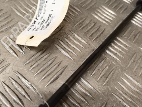 Tailgate lift support PEUGEOT 107 (PM_, PN_) 1.4 HDi | BP21729047C138 