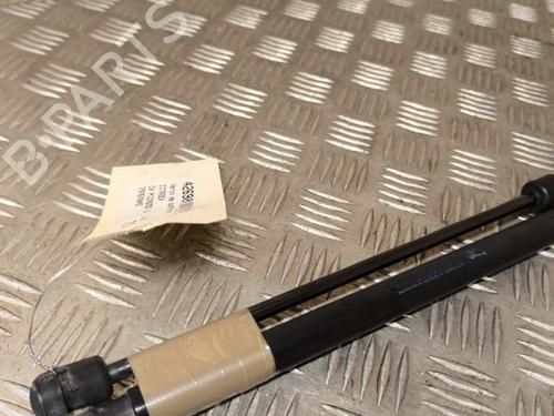 Tailgate lift support CITROËN C4 Picasso I MPV (UD_) 1.6 HDi | BP21737381C138 