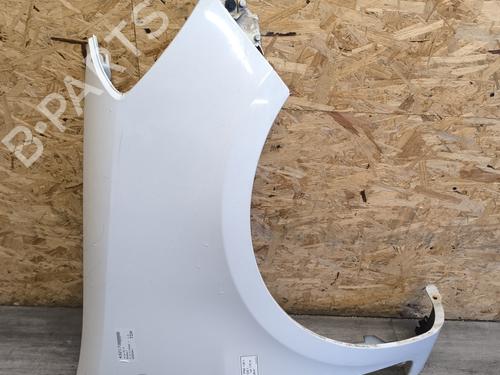 Right front fenders RENAULT CLIO III (BR0/1, CR0/1) 1.5 dCi (C/BR0G, C/BR1G) | BP21748309C42 