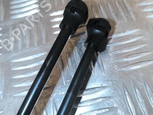 Tailgate lift support PEUGEOT 308 II (LB_, LP_, LW_, LH_, L3_) 1.6 BlueHDi 120 | BP26466476C138