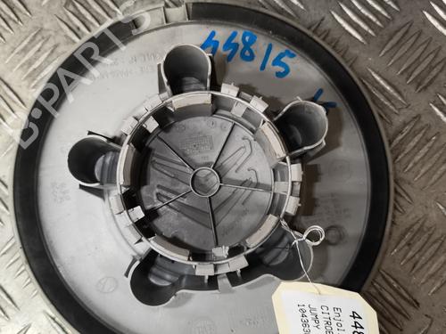 Hub cap CITROËN JUMPY II Van 2.0 HDi 120 | BP24923093C160 