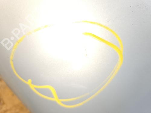 Right front fenders RENAULT TWINGO I (C06_) 1.2 (C066, C068) | BP28683005C42