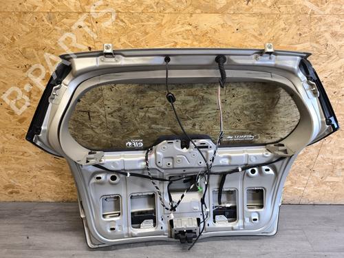 Tailgate RENAULT SCÉNIC II (JM0/1_) 1.9 dCi (JM14) | BP24891621C6 