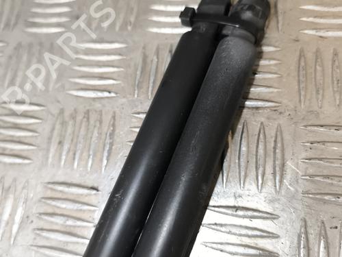 Tailgate lift support RENAULT CLIO IV (BH_) 0.9 TCe 75 (BHNP) | BP24865201C138 