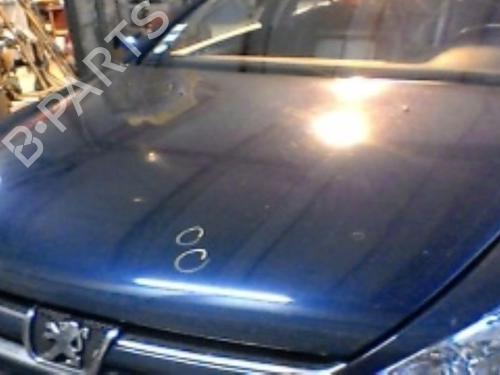 Capot PEUGEOT 607 (9D, 9U) 2.2 16V (158 hp) 21751872
