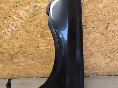 Left front fenders RENAULT LAGUNA II Grandtour (KG0/1_) 1.9 dCi (KG0G) | BP21740363C41 