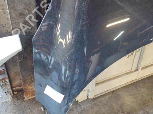 Hood RENAULT SCÉNIC III (JZ0/1_) 1.5 dCi | BP21735287C1