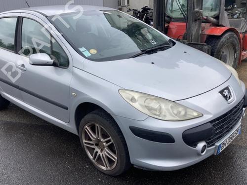Tailgate PEUGEOT 307 (3A/C) 1.6 HDi 110 | BP21750061C6 