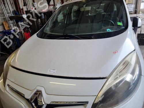 Used Hood RENAULT SCÉNIC III (JZ0/1_) 1.5 dCi (110 hp) 30136426