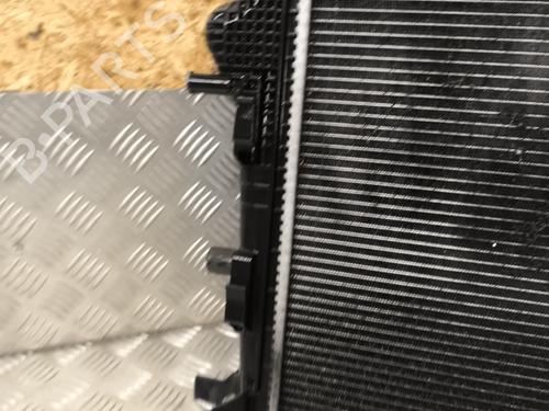 Køler RENAULT SCÉNIC III (JZ0/1_) 2.0 dCi (JZ0Y, JZ26) | BP30509100M31