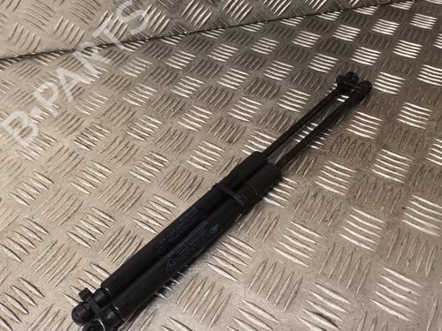 Gassdemper Bakluke RENAULT TWINGO II (CN0_) 1.2 16V (CN04, CN0B) (75 hp) 21733711