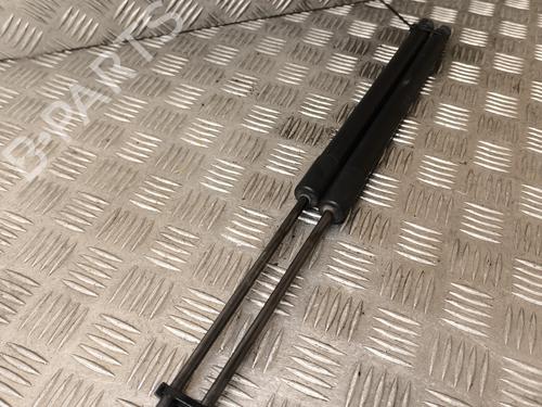 Used Tailgate lift support VW GOLF VII (5G1, BQ1, BE1, BE2) 1.6 TDI (105 hp) 22011424