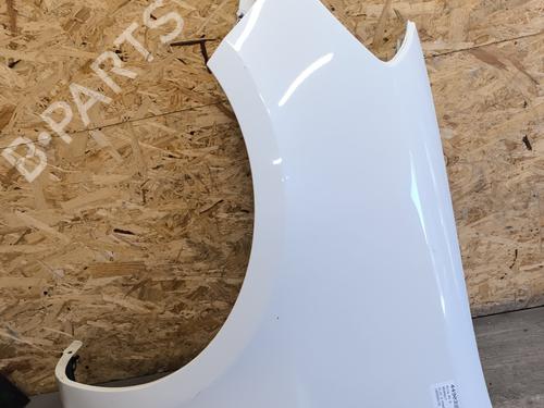 Used Left front fenders RENAULT CLIO III (BR0/1, CR0/1) 1.5 dCi (C/BR0G, C/BR1G) (68 hp) 26740302