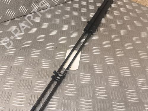 Used Tailgate lift support SEAT TOLEDO III (5P2) 1.9 TDI (105 hp) 21729598