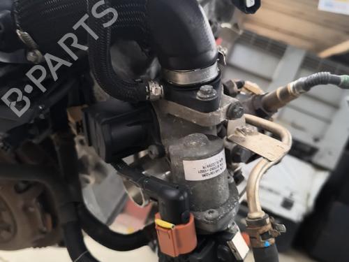 Engine RENAULT TWINGO III (BCM_, BCA_) 0.9 TCe 90 (BCM9, BCM2) | BP21733920M1 