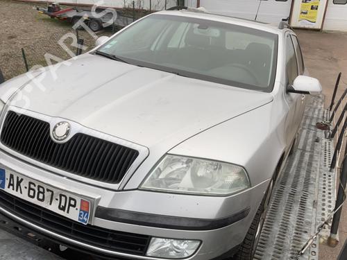 Left front fog light SKODA OCTAVIA II Combi (1Z5) 1.9 TDI | BP21742104C30 