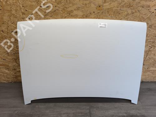 Used Hood RENAULT RAPID Box Body/MPV (F40_, G40_) 1.2 (F406, G40A) (55 hp) 24886308