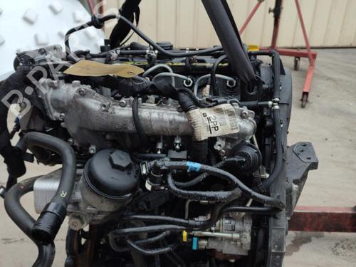 Engine OPEL MERIVA B MPV (S10) 1.7 CDTI (75) | BP21749903M1 