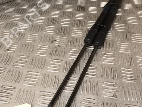 Used Tailgate lift support VW GOLF VII (5G1, BQ1, BE1, BE2) 1.6 TDI (115 hp) 23771778