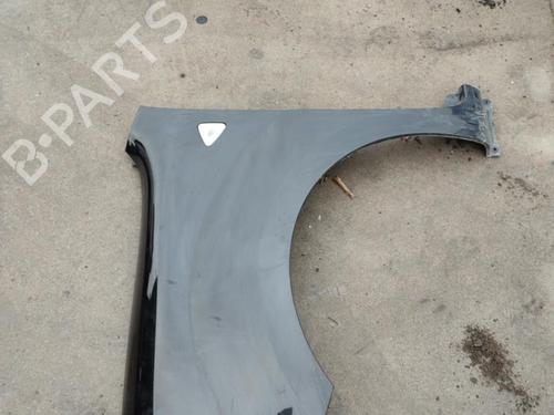 Used Left front fenders RENAULT KANGOO / GRAND KANGOO II (KW0/1_) 1.5 dCi 85 (KW0K, KW0L, KW0B) (86 hp) 21734967
