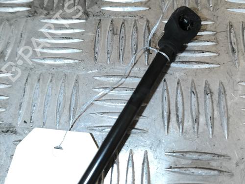 Hood lift support DACIA SANDERO II 1.2 | BP22197933C139 