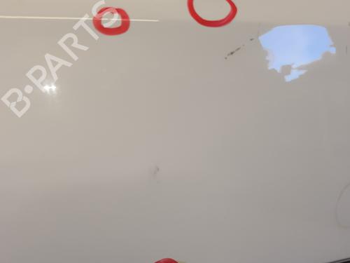 Right front door RENAULT CLIO III (BR0/1, CR0/1) 1.5 dCi (BR17, CR17) | BP26156906C3 
