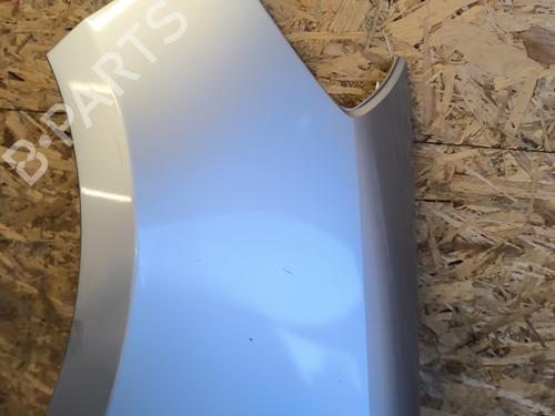 Left front fenders RENAULT CLIO III (BR0/1, CR0/1) 1.5 dCi (BR17, CR17) | BP23771588C41 
