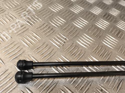 Tailgate lift support PEUGEOT 208 I (CA_, CC_) 1.6 BlueHDi 100 | BP21748500C138