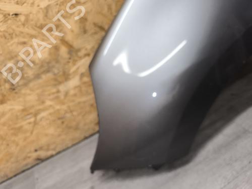 Left front fenders RENAULT GRAND SCÉNIC III (JZ0/1_) 1.9 dCi (JZ0J, JZ0N, JZ1K, JZ1S) | BP22010163C41 