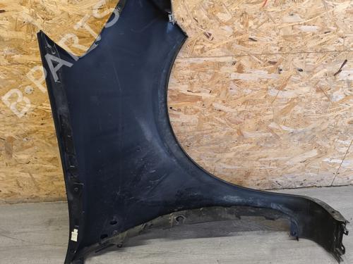 Left front fenders RENAULT CLIO III (BR0/1, CR0/1) 1.5 dCi (BR17, CR17) | BP24409452C41 