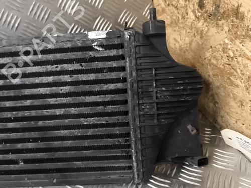Intercooler NISSAN PATHFINDER III (R51) 2.5 dCi 4WD | BP22803221M30 