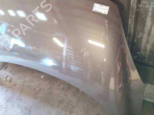 Hood RENAULT SCÉNIC III (JZ0/1_) 1.9 dCi (JZ0J, JZ1J, JZ1K, JZ1S) | BP21742010C1