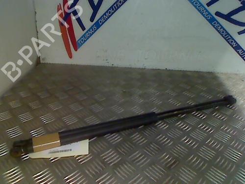 Used Tailgate lift support FORD FIESTA V (JH_, JD_) 1.4 TDCi (68 hp) 21746804