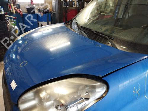 Motorhjelm FIAT DOBLO Cargo (263_) 1.3 D Multijet | BP31379121C1