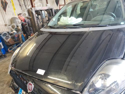 Used Hood FIAT PUNTO (199_) 1.2 (199AXZ1A, 199BXZ1A) (69 hp) 29587164